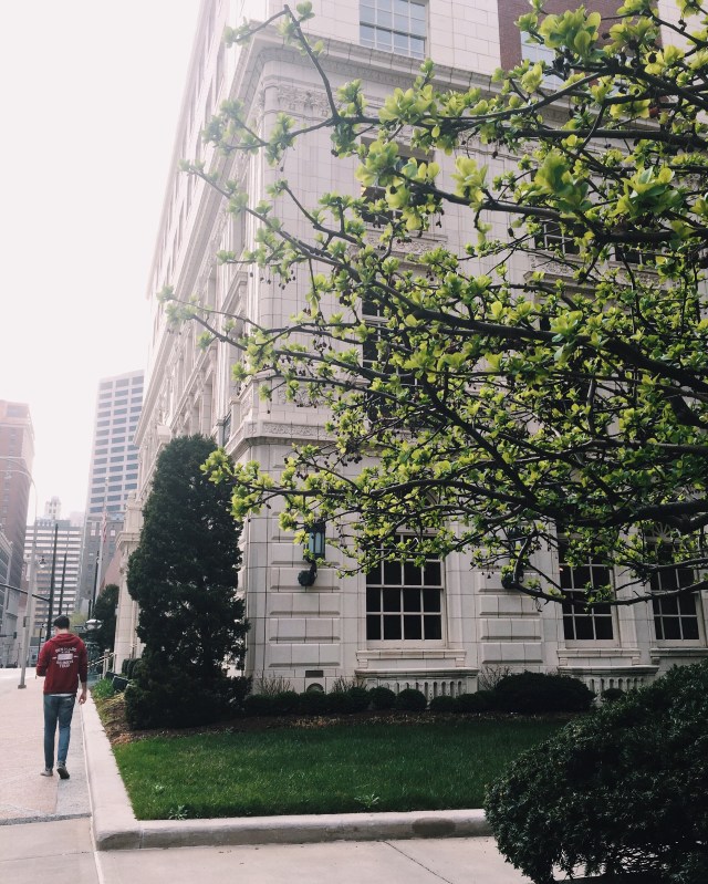 Processed with VSCOcam with m5 preset Processed with VSCOcam with c1 preset