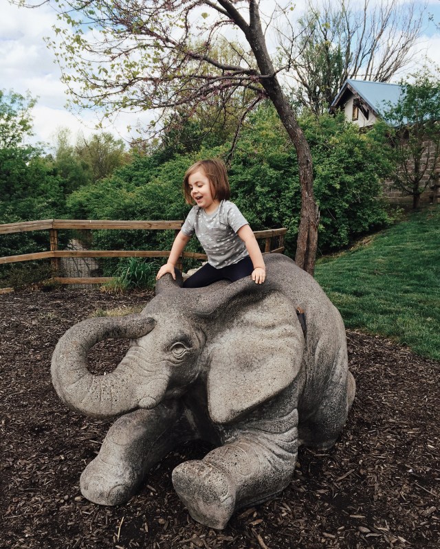 Processed with VSCO with m5 preset Processed with VSCO with q2 preset