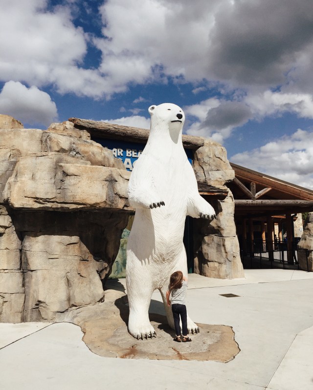 Processed with VSCO with m5 preset Processed with VSCO with q2 preset