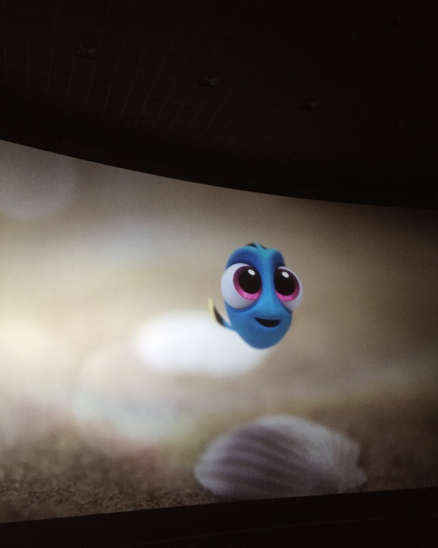 Processed with VSCO with a4 preset