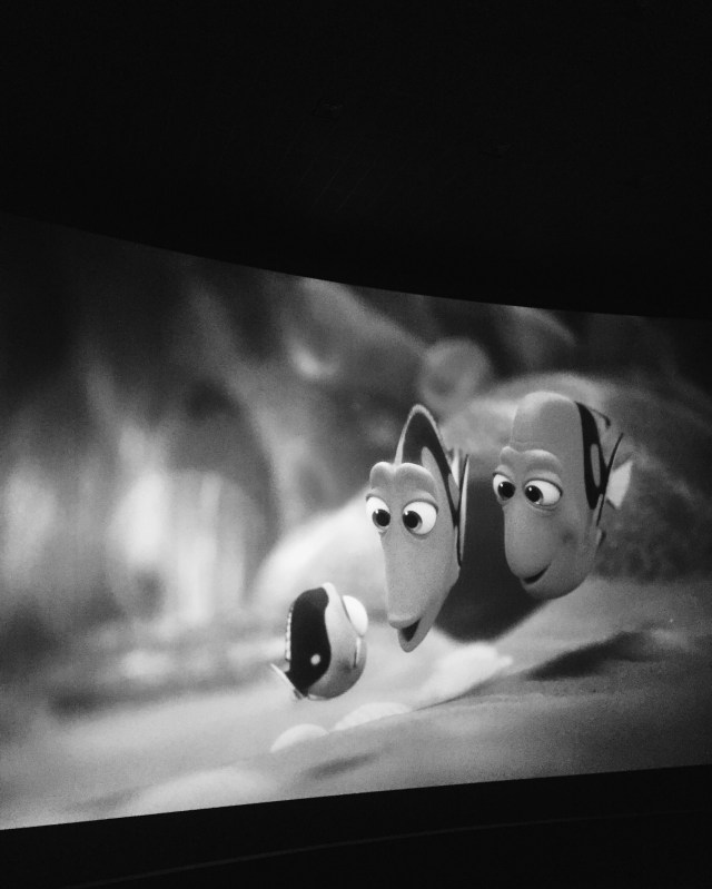 Processed with VSCO with a4 preset Processed with VSCO with 1 preset