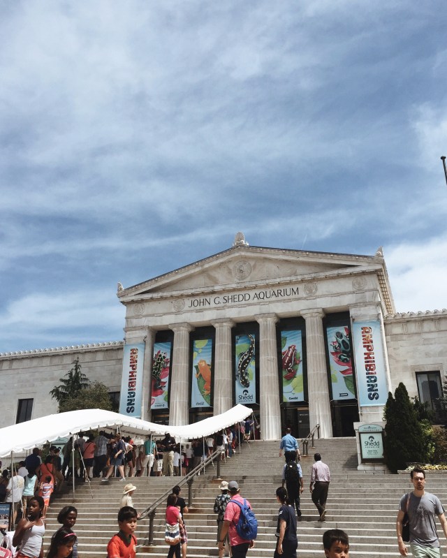 Processed with VSCO with a4 preset Processed with VSCO with a6 preset