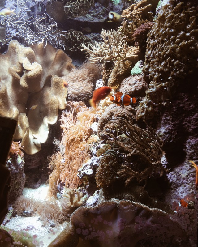 Processed with VSCO with a4 preset