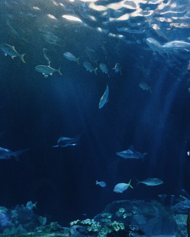 Processed with VSCO with m5 preset Processed with VSCO with q1 preset