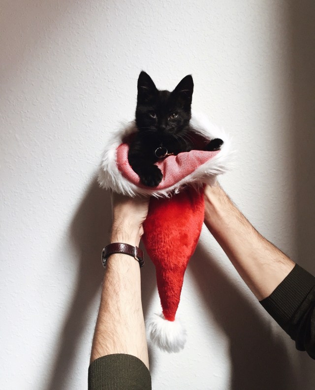 Processed with VSCO with a4 preset Processed with VSCO with a6 preset