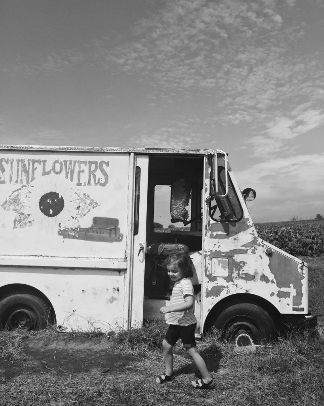 Processed with VSCO with 3 preset