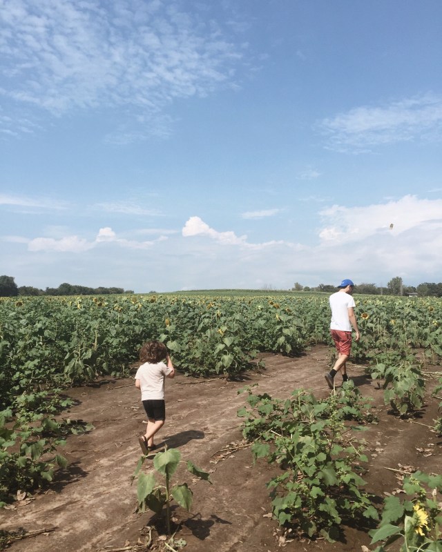 Processed with VSCO with a4 preset Processed with VSCO with a6 preset