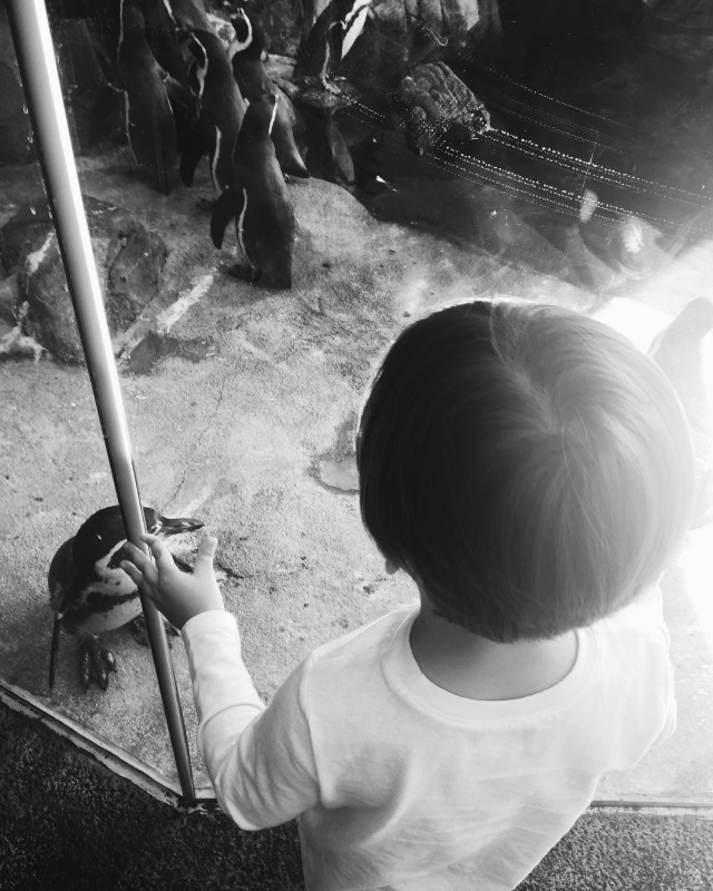 Processed with VSCO with 3 preset