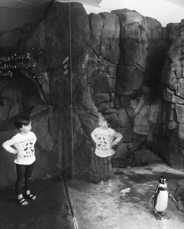 Processed with VSCO with 1 preset