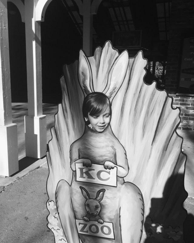 Processed with VSCO with 1 preset