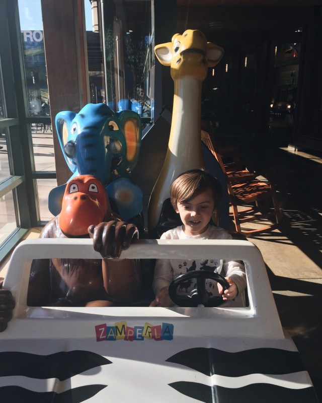 Processed with VSCO with a6 preset