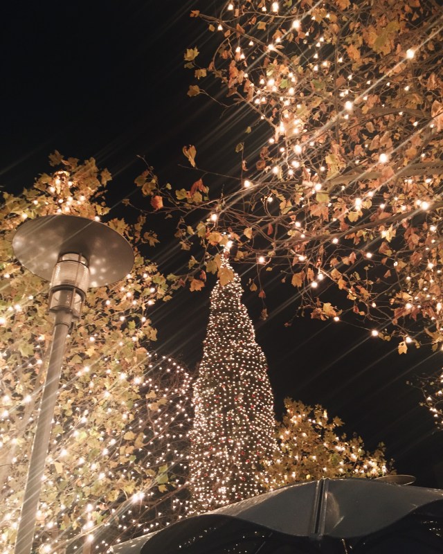 Processed with VSCO with a6 preset