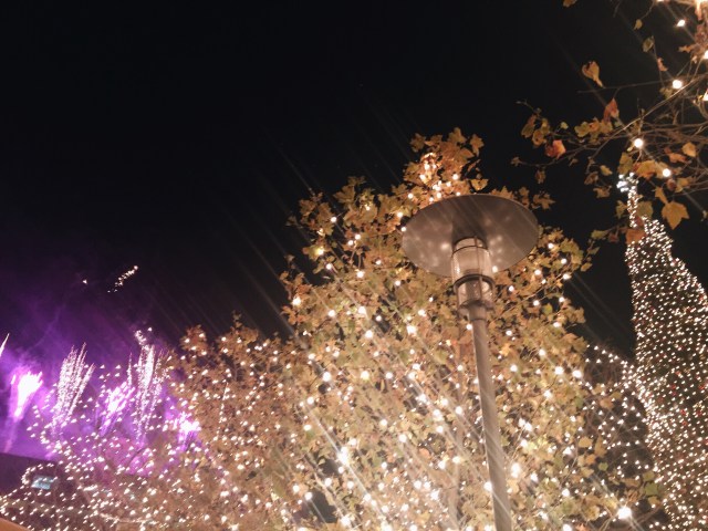 Processed with VSCO with a6 preset