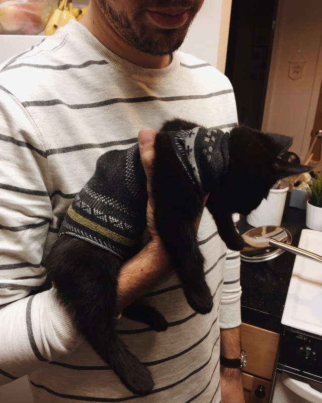 Processed with VSCO with m5 preset Processed with VSCO with a6 preset