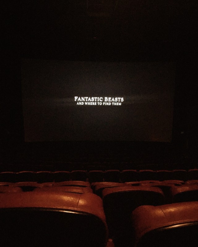 Processed with VSCO with a4 preset Processed with VSCO with m5 preset