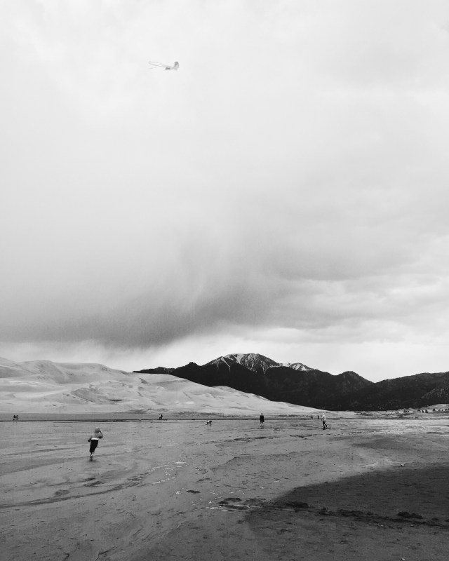 2f01edab-7ceb-476b-98ed-c0944726453c