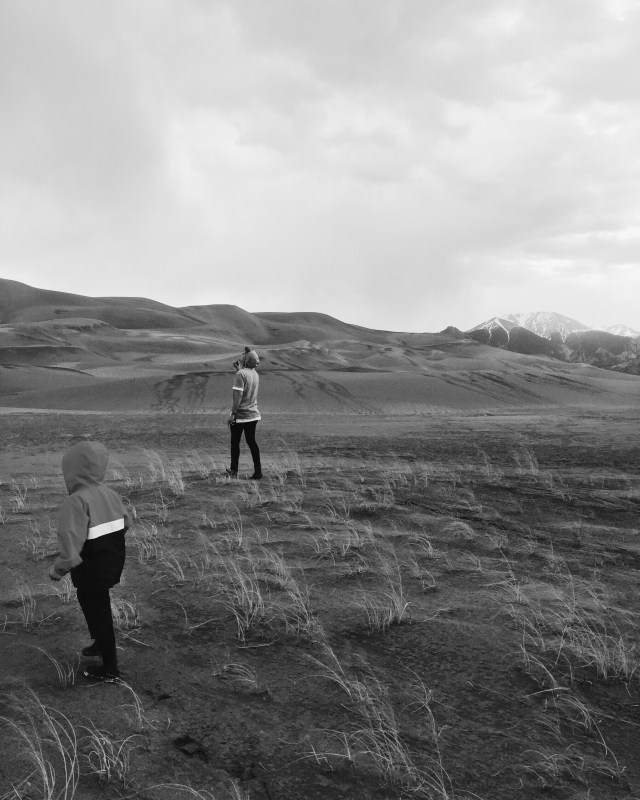 d799be6a-985b-4305-8858-20338b20d5e5