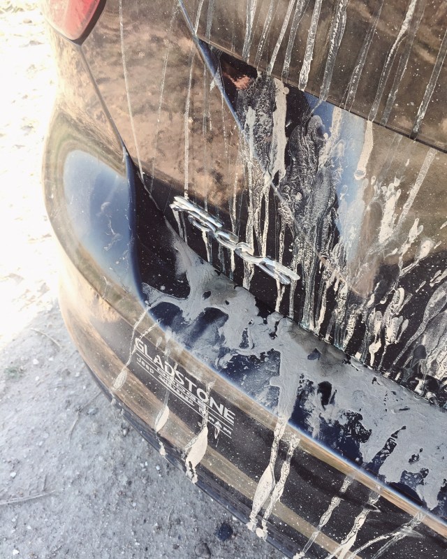 Processed with VSCO with a4 preset Processed with VSCO with 10 preset