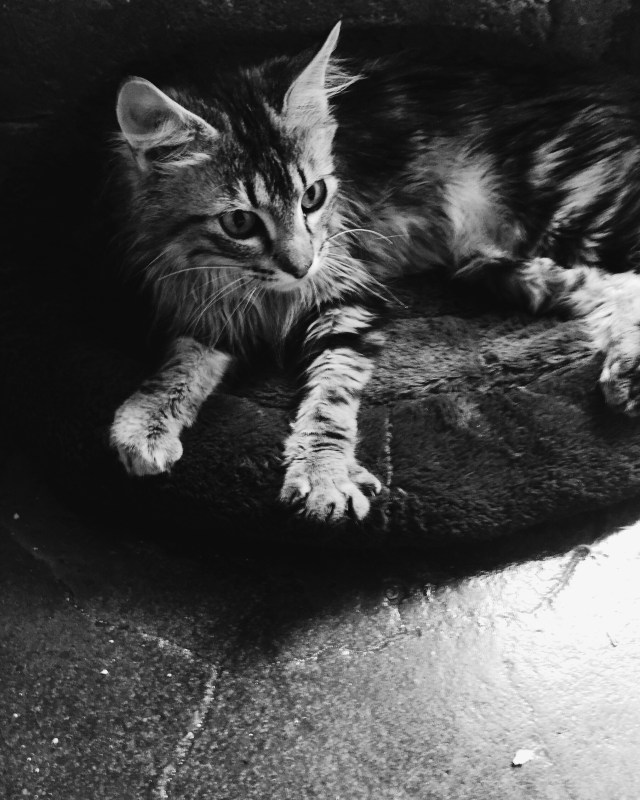 Processed with VSCO with a6 preset Processed with VSCO with 3 preset