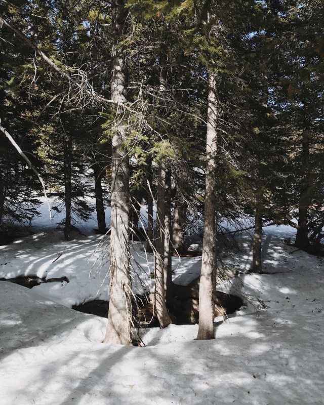 Processed with VSCO with m5 preset Processed with VSCO with a8 preset