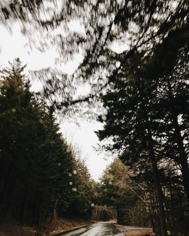 Processed with VSCO with m5 preset Processed with VSCO with a6 preset