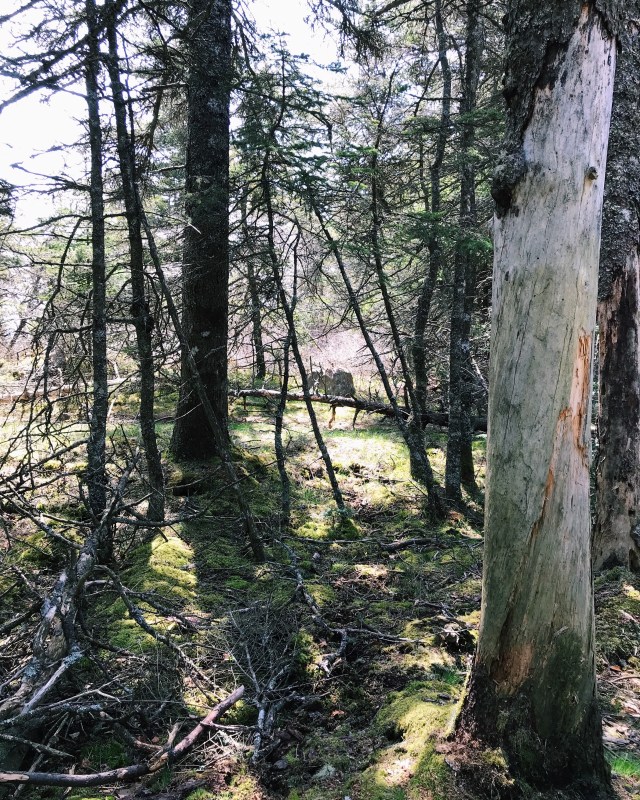 Processed with VSCO with c1 preset