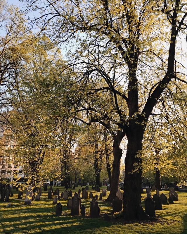 Processed with VSCO with m5 preset Processed with VSCO with a6 preset