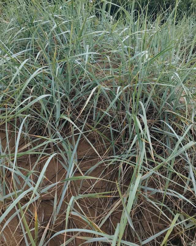 Processed with VSCO with m5 preset Processed with VSCO with inf preset