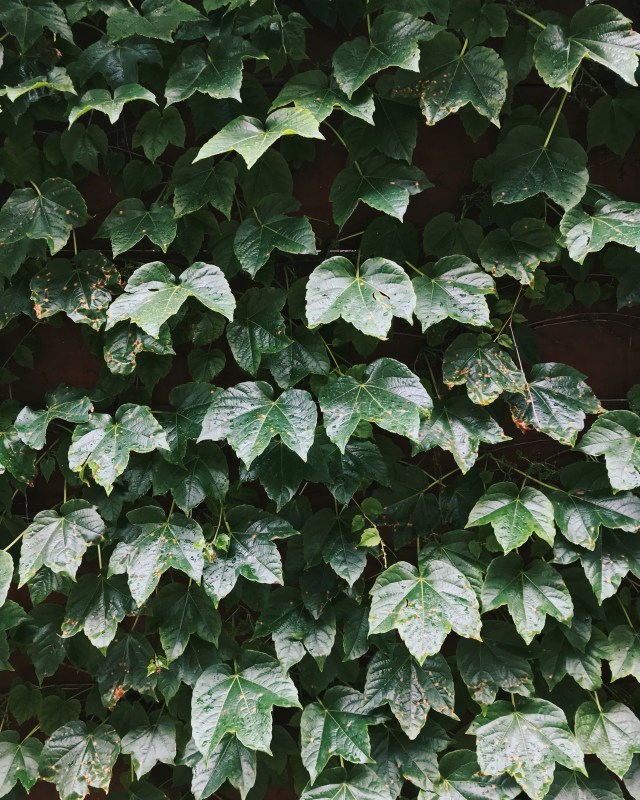 Processed with VSCO with m2 preset Processed with VSCO with ke1 preset