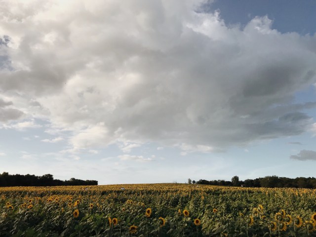 Processed with VSCO with m5 preset Processed with VSCO with al5 preset