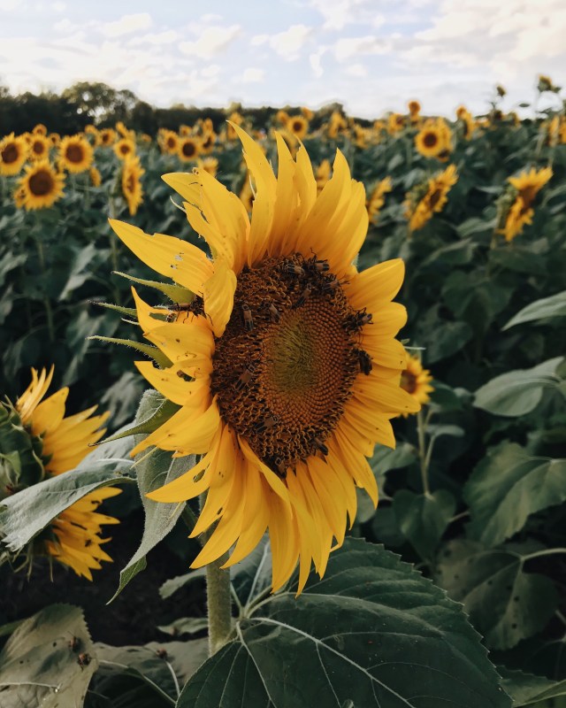 Processed with VSCO with m5 preset Processed with VSCO with a6 preset