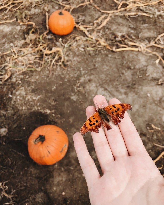 Processed with VSCO with m5 preset Processed with VSCO with a6 preset