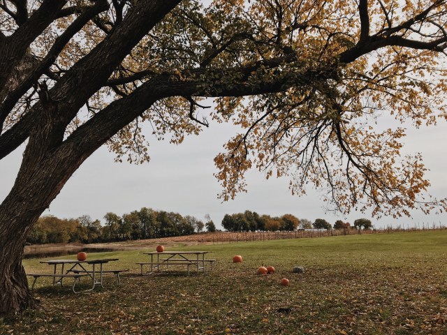 Processed with VSCO with m5 preset Processed with VSCO with a6 preset