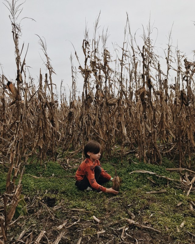 Processed with VSCO with m5 preset Processed with VSCO with a6 preset