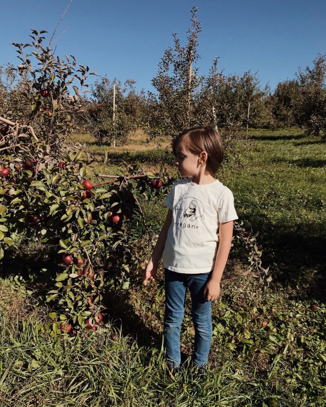 Processed with VSCO with m5 preset Processed with VSCO with j5 preset