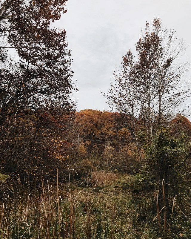 Processed with VSCO with m5 preset Processed with VSCO with a6 preset