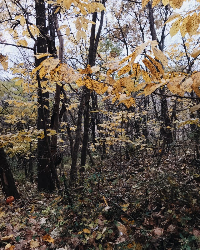 Processed with VSCO with m5 preset Processed with VSCO with a6 preset