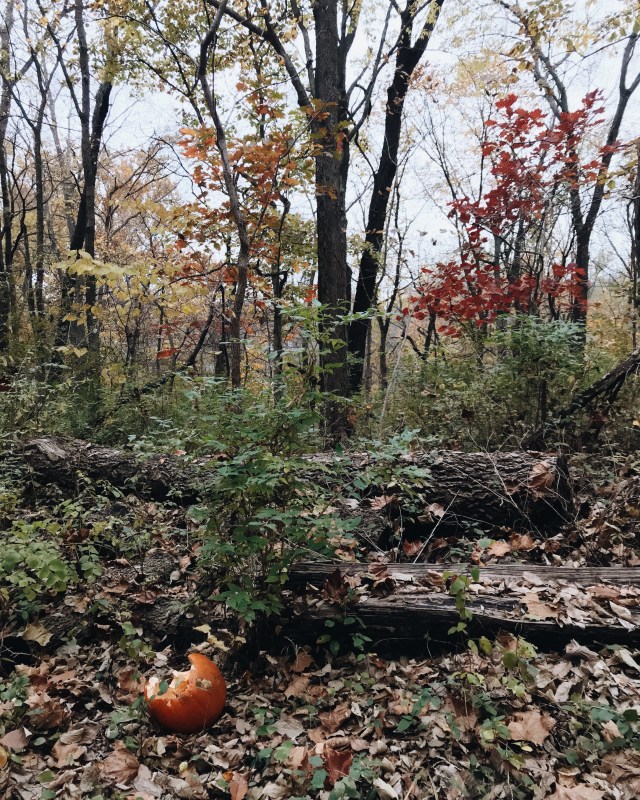 Processed with VSCO with m5 preset Processed with VSCO with a6 preset