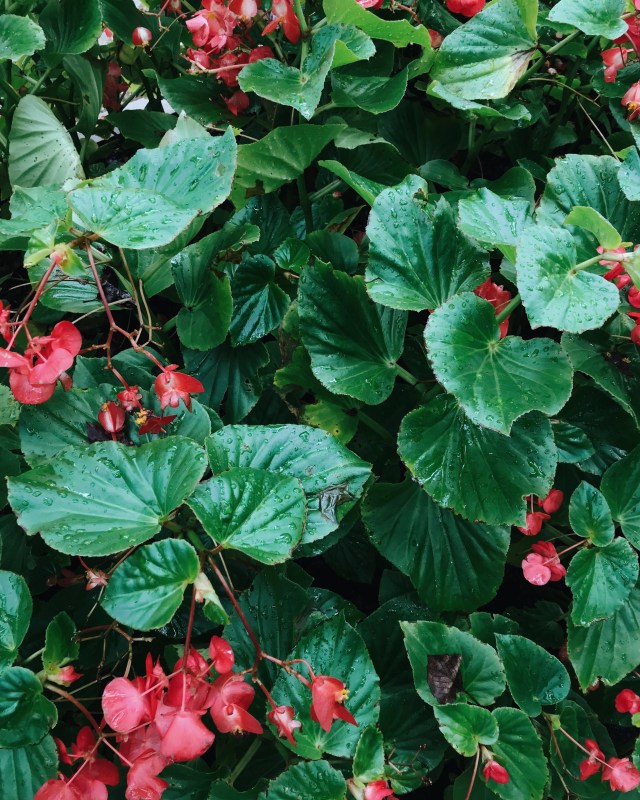 Processed with VSCO with m5 preset Processed with VSCO with a6 preset