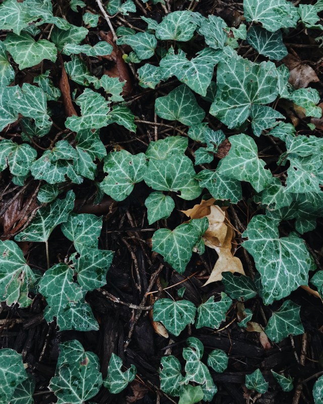 Processed with VSCO with m5 preset Processed with VSCO with a6 preset