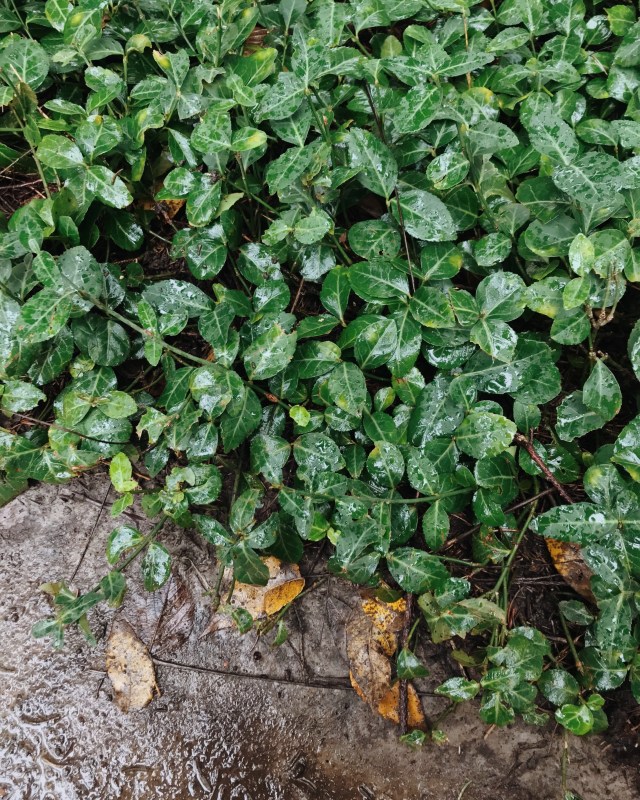 Processed with VSCO with m5 preset Processed with VSCO with a6 preset